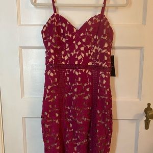 Lulus lace Bodycon dress